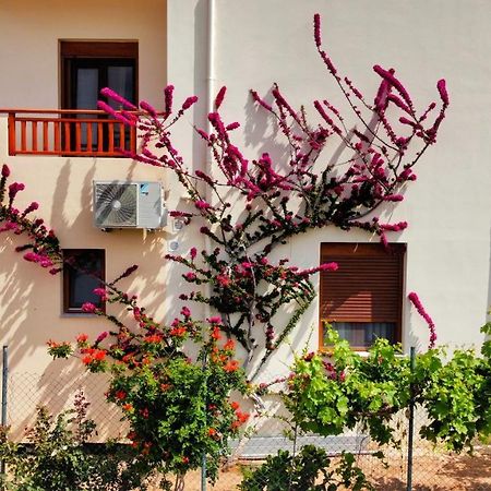 Dina Apartments سْكاليتا المظهر الخارجي الصورة
